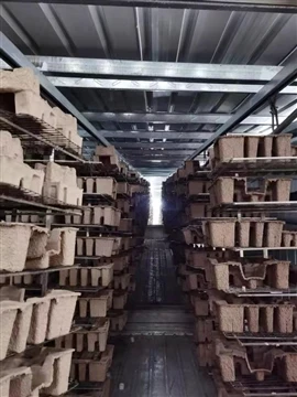 Tại sao bột giấy đúc là giải pháp thay thế-thân thiện với môi trường và bền v...