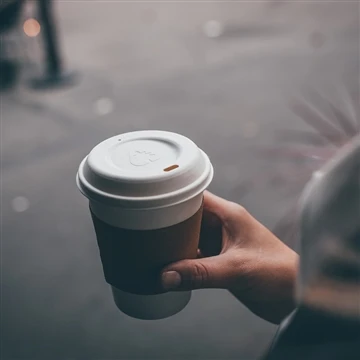 Bao bì bột giấy trình bày một giải pháp thay thế thực tế và bền vững: Mục tiê...